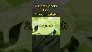 3 Best Foods For Fibromyalgia [upl. by Eittah]