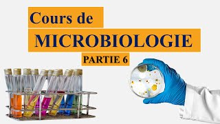 cours de microbiologie partie 6  notion despèce et souche type  la classification des bactéries [upl. by Eimirej]