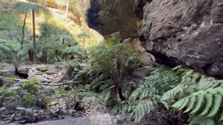 Glow Worm Tunnel  Wollemi National Park [upl. by Isteb787]