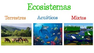 🌎 Los ECOSISTEMAS y sus TIPOS 🐝 Fácil y Rápido  BIOLOGÍA [upl. by Aidaas314]