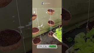 Amazing Transform coconut husks into a vertical garden 🌴✨ Part 01 🌍 shorts short unique [upl. by Eniaral]