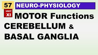 Ch57 Physiology Guyton  Motor Functions of Cerebellum and Basal Ganglia  Physiology Lectures [upl. by Lleznol571]