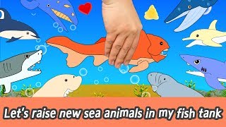 EN Let’s raise new sea animals in my fish tank animals animation for kids animal namesㅣCoCosToy [upl. by Jelene]