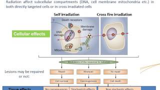 IAEAESNM Webinar  Basic Principles of Radionuclide Therapy and Common Clinical Applications [upl. by Marucci]