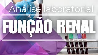 ANALISE LABORATORIAL DA FUNÇÃO RENAL MARCADORES  BIOQUÍMICA LAB [upl. by Radburn191]