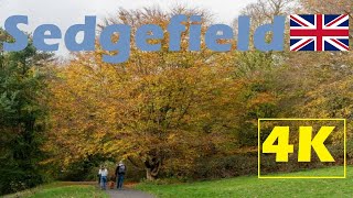 4K Walking in Sedgefield County Durham 2023 [upl. by Oemac174]