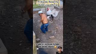 Pililiu da Resenha toma surra dos animais na fazenda pililiudaresenha humor comedia memes [upl. by Ahtnamys]