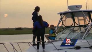 18foot whale stuck in Cape Cod harbor [upl. by Adiari]