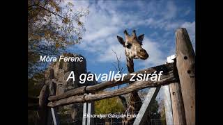 Móra Ferenc A gavallér zsiráf [upl. by Nealah]