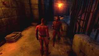 Dreamfall Chapters Friars Keep walkthrough without commentary track [upl. by Darrej42]