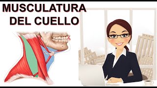 ANATOMÍA DEL SISTEMA MUSCULAR MÚSCULOS DEL CUELLO [upl. by Nowd]