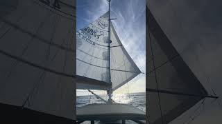 Rustler 42  We are in the Azores 1900 miles in 13 days Brilliant shorts [upl. by Jon]