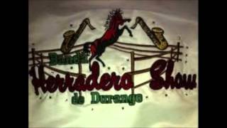 Banda Herradero Show  El Gato Negro [upl. by Jonas]