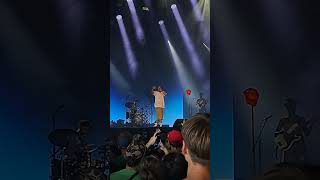 Loyle Carner  live at Opener Festival [upl. by Domel50]