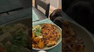 Mastiff wants Dad’s dinner englishmastiff em mastiff squishy bigdog sandlot jowls [upl. by Yirinec170]