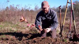 Planting a Seedling [upl. by Noir]