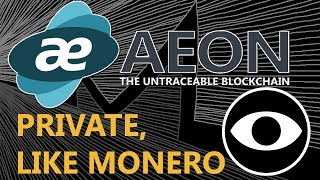 AEON COIN REVIEW  MEET MONEROS SISTER  SAME DEVELOPER SAME CODE BUT LIGHTER [upl. by Hendrick]