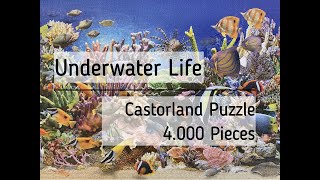 Doing the 4000 Pieces Jigsaw Puzzle quotUnderwater Lifequot by Castorland a Time Lapse Video [upl. by Armilda]