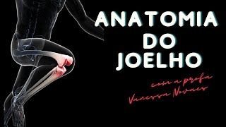 O joelho não é uma única articulação anatomia do joelho como você nunca viu [upl. by Alleuqahs]