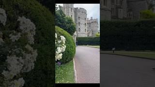 Here comes the next scenes of Windsor castle  Don’t forget to watch the Stunning view [upl. by Kizzee]