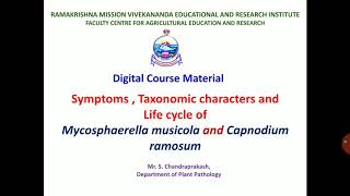 Lecture 19 2Symptoms and life cycle of Mycosphaerella musicola  PAT 201 [upl. by Ahsinac]