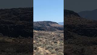 Rock of the Week 105 Columnar Basalt from Columbia River Flood Basalt 2 [upl. by Dorehs]