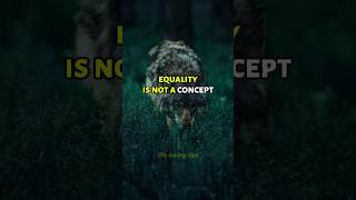 Equality is not a concept shorts trending viralvideo [upl. by Poland832]