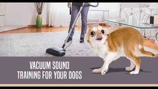 Vacuum Desensitization Puppy Sounds [upl. by Kcirrej]