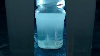 decomposition reaction decomposer experiment electrolysis hydrogen waterexperiment shorts [upl. by Atteuqal]