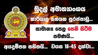 Ministry of Finance Jobs  Jobs  Shan Creation  Government Jobs  After OL Jobs  After AL Jobs [upl. by Nylirem552]