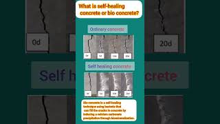 what is bio concrete or self healing concrete Civil Engineering shorts [upl. by Giana572]