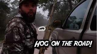 HOGS and SQUIRRELS EVERYWHERE Florida BHA public land small game hunt Swamp N Stomp ep 93 [upl. by Arelc]