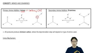 Imines and Enamines General Reactions [upl. by Timmy]