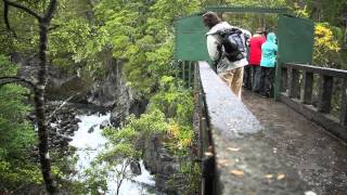 Silversea Expeditions  Chilean Fjords [upl. by Afesoj]