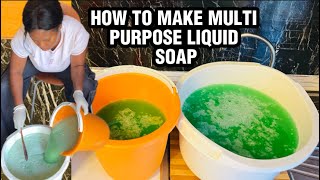 How to Take Multi Purpose Liquid Soap at Home  How To Make Liquid Soap For All Uses At Home [upl. by Gerhard86]