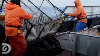 Los guardacostas realizan una inspección a un barco pesquero Pesca Mortal  Discovery Latinoamérica [upl. by Ybrek]