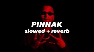 Pinnak  SAMBATA l  slowed  reverb   Asterix [upl. by Rucker]