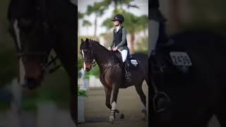 if been to 3 dressage shows 1 barrel racing 6 show jumps and 2 cross country [upl. by Evette]