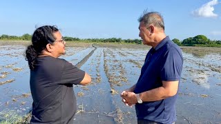 Millions  Gross Income per Cropping Sapat na sa kanyang 200 Hectares Rice Farms [upl. by Sedberry193]