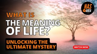 Unlocking the Ultimate Mystery The Meaning of Life Explored [upl. by Ronoel]