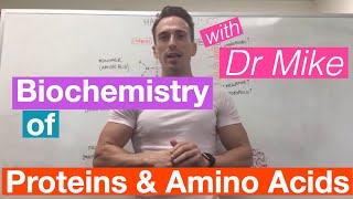 Proteins amp Amino Acids  Biochemistry [upl. by Yoshio]