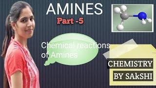 AMINES CLASS12CHEMISTRY [upl. by Eened]