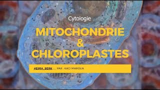 📍 MITOCHONDRIE amp CHLOROPLASTES  CYTOLOGIE E9raberk Cytologie [upl. by Koffler]