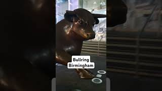 Bullring Birmingham uk uk shorts birmingham bullring [upl. by Gnilhsa]