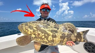 The Best Baits To Use For Saltwater Fishing [upl. by Gifford]