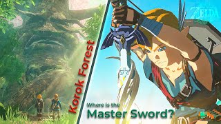 How to enter Korok Forest  How to get the Master Sword TOTK walkthrough 5 [upl. by Anwahsak]