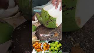 Green fresh coconut cutting  Fruit Cutting Skills shorts viralreels fruit coconut asmr health [upl. by Rana]