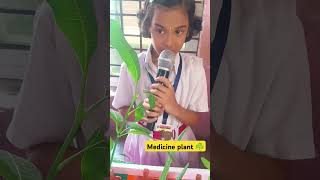 Medicine plant ☘️ SSVM science exhibition 2024 [upl. by Kinsler]