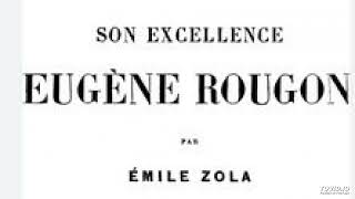 9 Emile Zola Son excellence Eugène Rougon livre audio partie 9 sur 13 [upl. by Youngran]