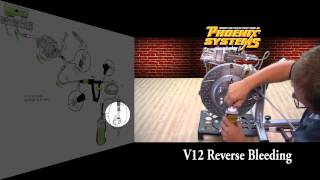 Quick Start to Reverse Brake Bleed with V12 Brake Bleeding Kit [upl. by Sophia]